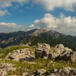 Lupi morti nel Parco d’Abruzzo, Cannata ringrazia il ministro Pichetto