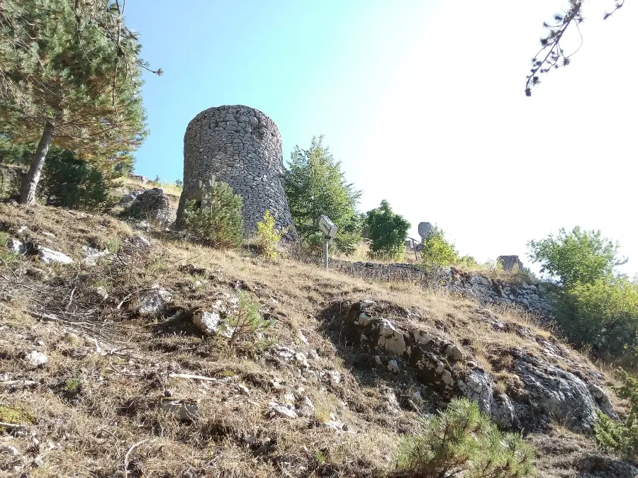 Pescasseroli, passeggiata serale sul lupo il 1° maggio