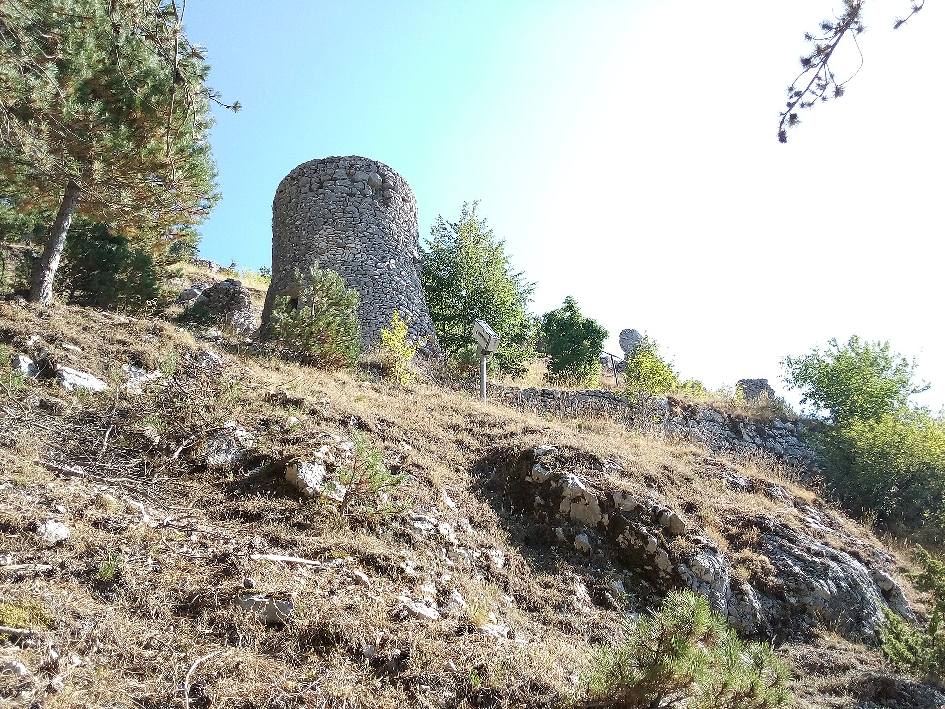 Pescasseroli, passeggiata serale sul lupo il 1° maggio