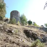 Pescasseroli, passeggiata serale sul lupo il 1° maggio