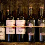 Al via la campagna istituzionale sul vino italiano: tutela, identità, filiera