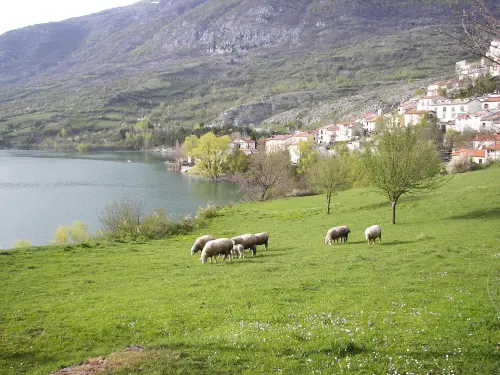 Parco d’Abruzzo, il Piano del Parco avanza nella Giornata Europea dei Parchi