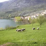Parco d’Abruzzo, il Piano del Parco avanza nella Giornata Europea dei Parchi
