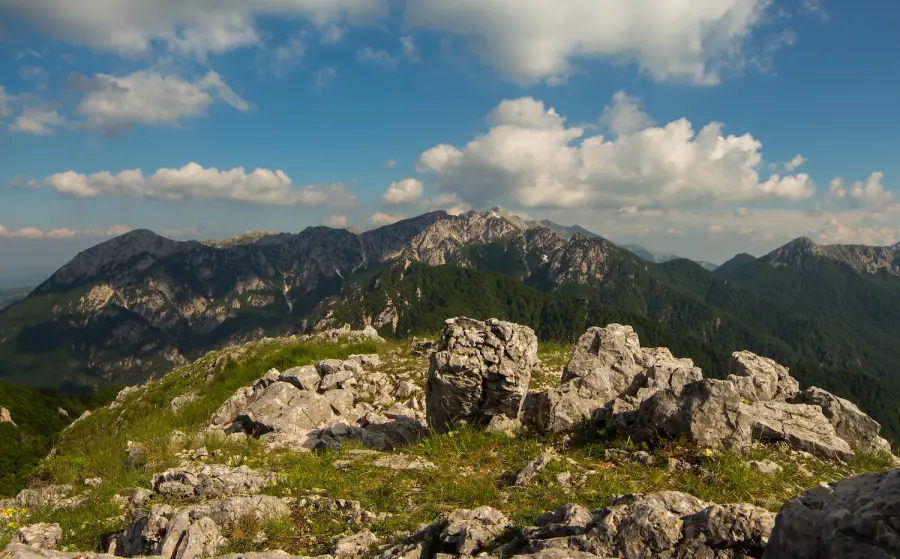 Parco d’Abruzzo, all’alba sulle tracce del lupo: trekking naturalistico tra i sentieri del PNALM