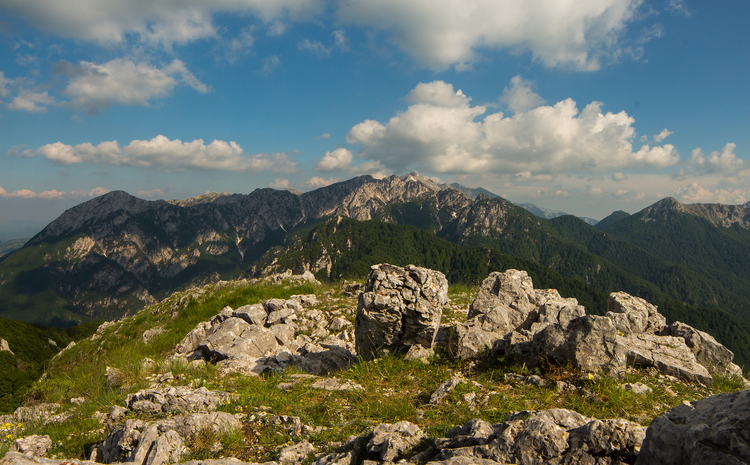 Parco d’Abruzzo, all’alba sulle tracce del lupo: trekking naturalistico tra i sentieri del PNALM