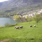 Volontari per la Natura: al via le iscrizioni ai turni 2026 nel Parco d’Abruzzo