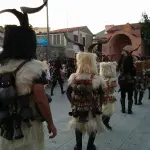 Carnevale delle Maschere Zoomorfe: modifiche alla viabilità dal 13 al 15 marzo