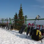 Ciaspolate nel Parco d’Abruzzo: escursione guidata tra boschi e radure innevate