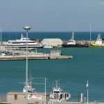 Dal porto all’asta del pescato: gli studenti scoprono il Mercato ittico di Termoli