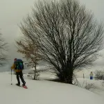 Easy Tour con le ciaspole: escursione guidata tra boschi e neve