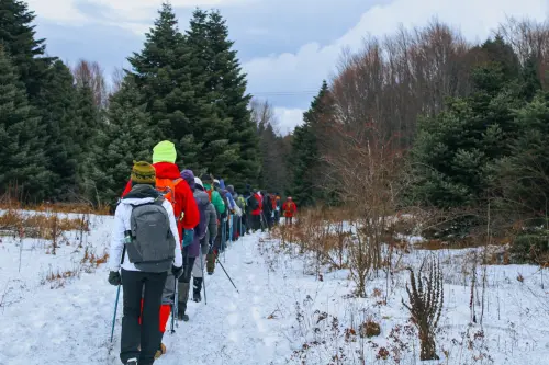Ciaspolata a Forca d’Acero, escursione tra neve, faggete e tracce della fauna del Parco